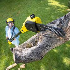 Tree and Shrub Care in Deatsville, AL